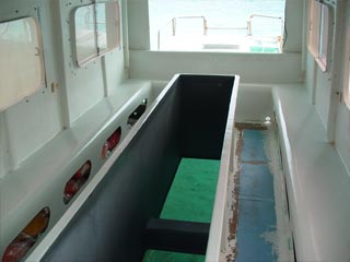 川平湾グラスボート