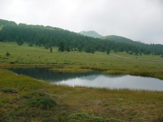 池の平湿原