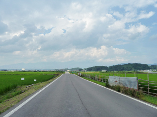 田んぼ道