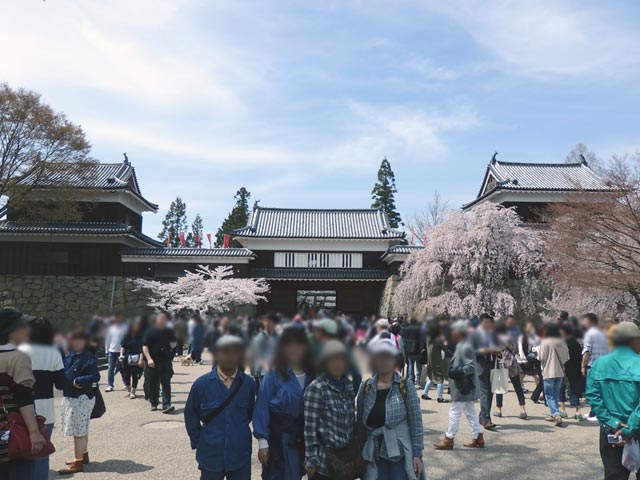 上田城/桜