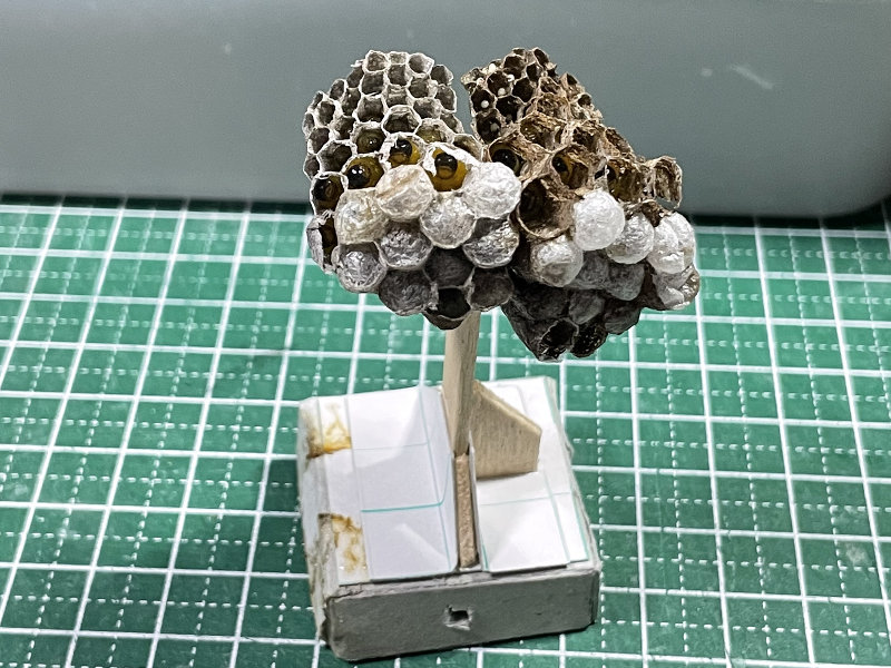 蜂の巣/連結
