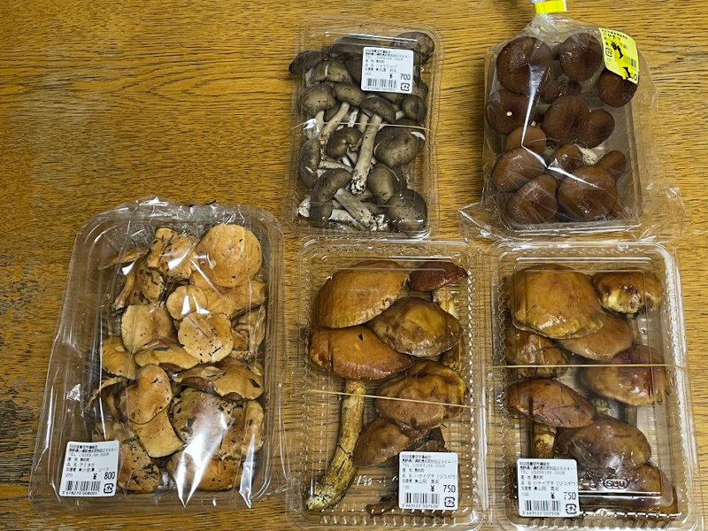 雑キノコ 雑キノコ