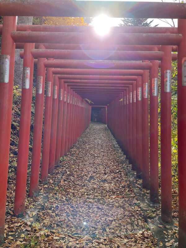 臼田/稲荷神社 臼田/稲荷神社