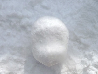 雪マミマミ/img_s20110212i.jpg
